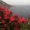 Coastal Cliff, Amalfi