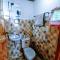 Stay N Save B&B - Oslob