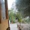 Foto: ** Our Villa's Pine Cottage** HQ Budget Stay** Wonderful horizon view of Jerash 7/16