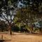 Letaba Junction Lodge