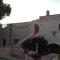 MASSERIA Le Betulle