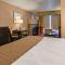 Best Western Plus Rama Inn & Suites - Oakdale