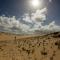 Dunes de Dovela eco-lodge