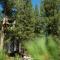 Updated 2 Br With View Of Lifts Condo - Crested Butte
