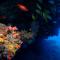 Boutique Beach All Inclusive Diving Hotel