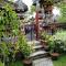 Twins Homestay