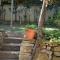 Central Charming Home with Garden near Parking and NDK