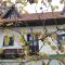 Vineyard Cottage Zdolsek - Šmarje pri Jelšah