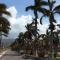 Jamaica Dream Gateway Jamaica Dream Gateway