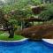 La Luciole Ecolodge - Paraty