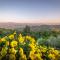 Vineyard Cottage Skatlar