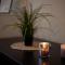 Wow Wow Apartment - Prag