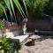 The Mayan Grouper