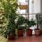 Mandarin Wellness Apartman