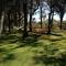 Encanto Rural