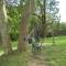 Luxury woodland Alder Lodge