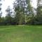 Luxury woodland Alder Lodge