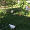 eco house summer garden
