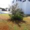 Rocamar 2 - Cala Morell