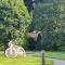 Priory Glamping Pods and Guest accommodation