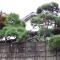 Minshuku Chatamago