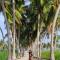 Alesara Guest House - Thoddoo