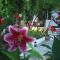 Stamatias Garden