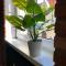 Apartament Odrzanka