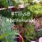 Tilly's B&B and apartment house photo 23