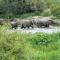 Simbavati River Lodge