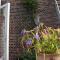 Bed & Breakfast Leonie
