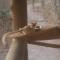 Marlothii Safari House - Marloth Park
