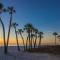 North Beach Village 27