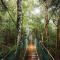 O'Reilly's Rainforest Retreat - Canungra