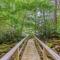 Bee Branch 27 - 糖山