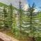 Eagle Springs East 206: White Fir Suite - Solitude