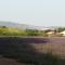 Au pied du Ventoux photo 14