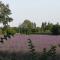 Au pied du Ventoux photo 11