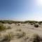 Beachside Bliss - Waldport