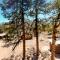Crest Cabin - استيس بارك