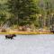 Quiet in the Pines - Permit #3120