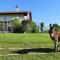 BaskoParadis I Eco-Gites I Calme I Vue I Ânes I Jardin I Montagne I Nature