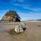 White Wing - Neskowin