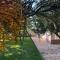 Villa Olive Grove Ferienhaus in Kroatien direkt am Meer nahe Zadar und Nin