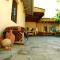 Dervish Hostel