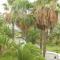 Beach-front Tenerife Sth sea and pool view