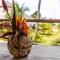 Casa Del Papa Resort & SPA