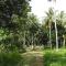 Ambarella Lodge - Katunayake
