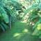 Surinat Luxury Resort