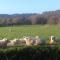 Ecolodge de Parel Schoorl